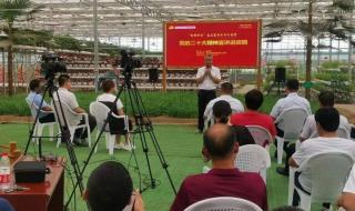 中国好声音田园 中国好声音田园