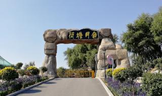 格格广场舞荷塘月色 格格广场舞荷塘月色