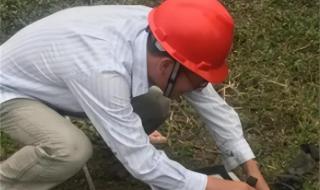 鱼塘现神秘大坑 鱼塘现神秘大坑