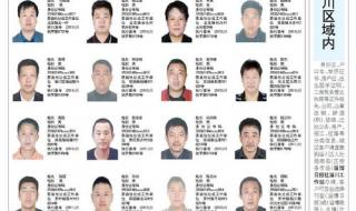 失信人查询名单 失信人查询名单