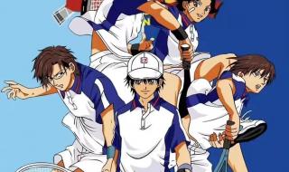 新网球王子公式书 新网球王子公式书