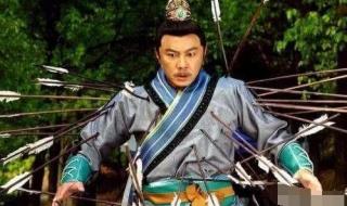 薛丁山征西国语全集 薛丁山征西国语全集