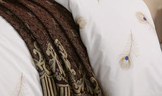 真正的蚕丝被多少钱