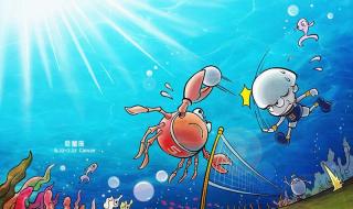 怎样表白成功率最高