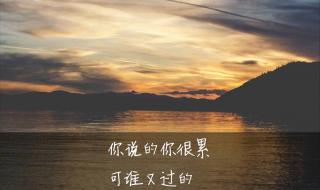 iphone7和iphone7plus iphone7和iphone7plus